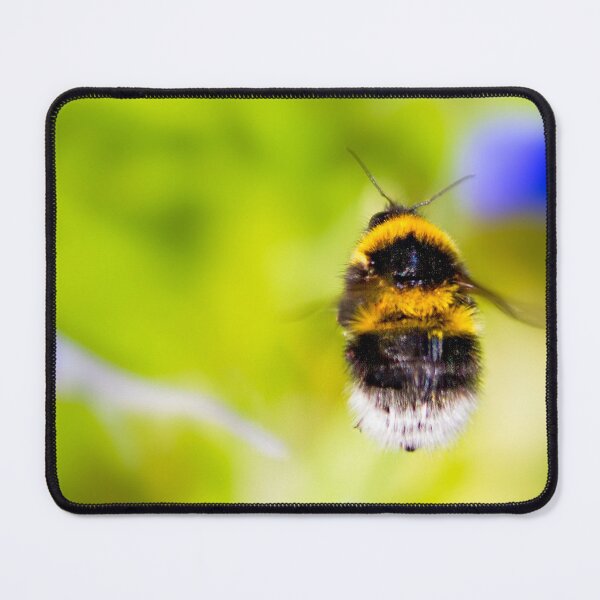 Item preview, Vertical flying Buff-tailed bumblebee designed and sold by FOLK ART FUSION by heidiannemorris.