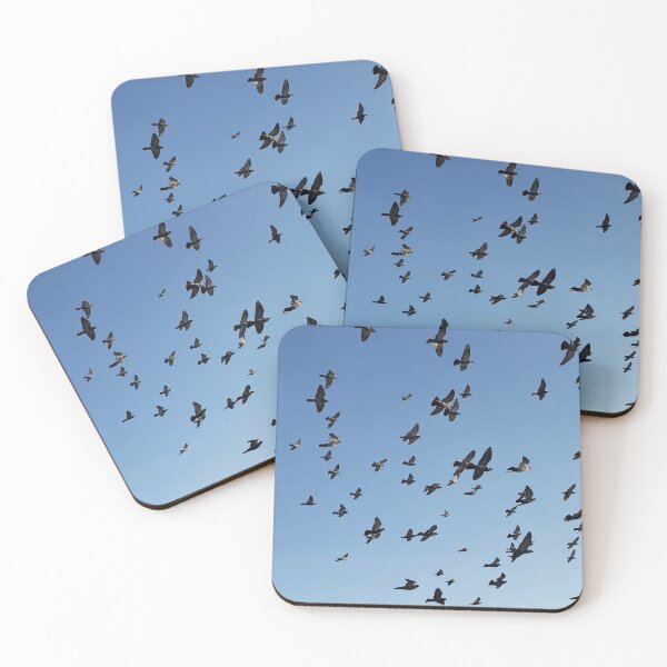 Item preview, Birds in the sky aesthetic designed and sold by Journeycoco.