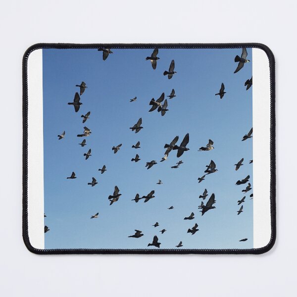 Item preview, Birds in the sky aesthetic designed and sold by Journeycoco.