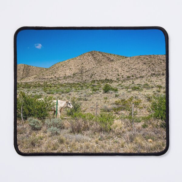 Item preview, Criollo Cattle on the Open Range designed and sold by GestaltImagery.
