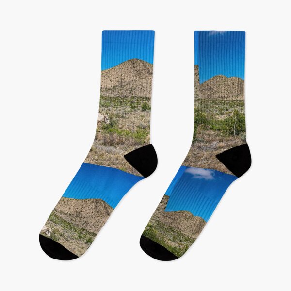 Item preview, Criollo Cattle on the Open Range designed and sold by GestaltImagery.