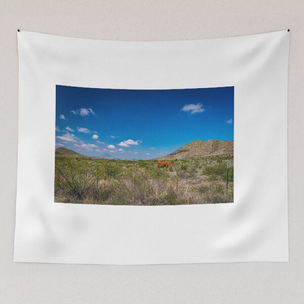 Item preview, Criollo Cattle on the Open Range designed and sold by GestaltImagery.