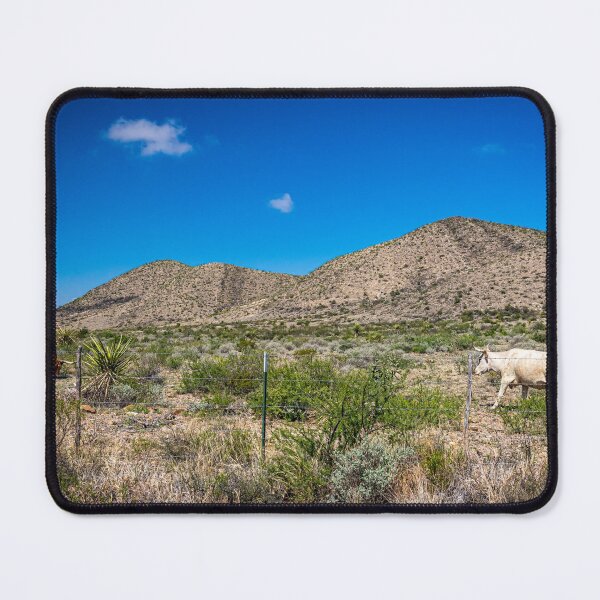 Item preview, Criollo Cattle on the Open Range designed and sold by GestaltImagery.
