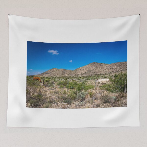 Item preview, Criollo Cattle on the Open Range designed and sold by GestaltImagery.
