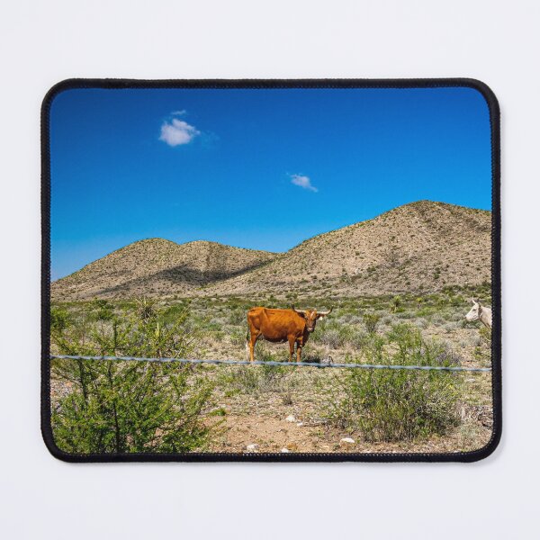 Item preview, Criollo Cattle on the Open Range designed and sold by GestaltImagery.