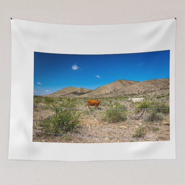 Item preview, Criollo Cattle on the Open Range designed and sold by GestaltImagery.