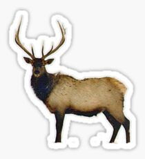 Bull elk 4 Sticker