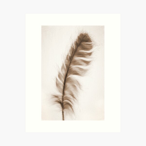 Item preview, Soft designed and sold by Colleen Farrell.