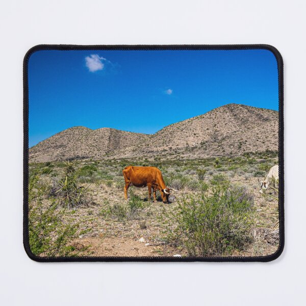 Item preview, Criollo Cattle on the Open Range designed and sold by GestaltImagery.