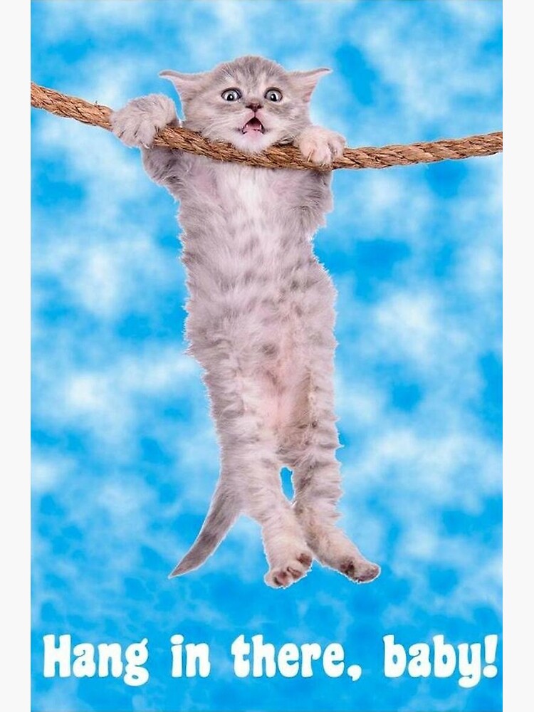 Hang In There Baby Meme Cat Poster For Sale By Jamiejeffer Redbubble