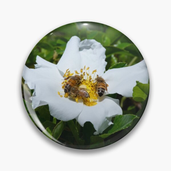 Item preview, Feeding Bees  designed and sold by StaLiVa.