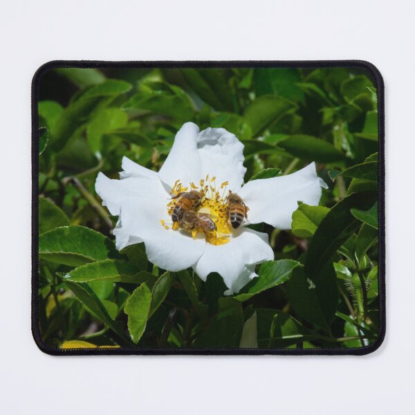 Item preview, Feeding Bees designed and sold by StaLiVa.