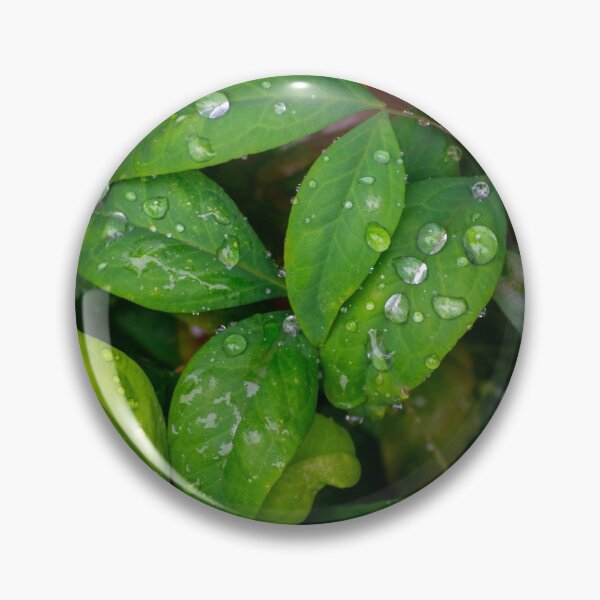 Item preview, Dropplets on the leafs designed and sold by StaLiVa.