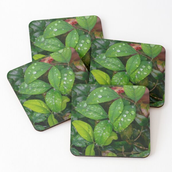 Item preview, Dropplets on the leafs designed and sold by StaLiVa.