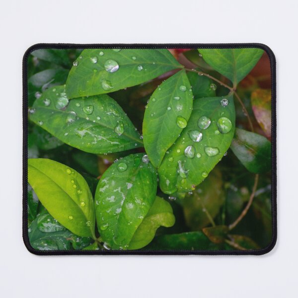 Item preview, Dropplets on the leafs designed and sold by StaLiVa.