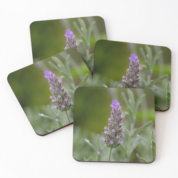 Item preview, Lavender  designed and sold by StaLiVa.