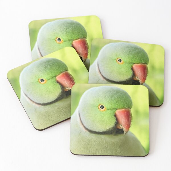 Item preview, Green Parrot - beautiful bird designed and sold by Sam-DesignMart.