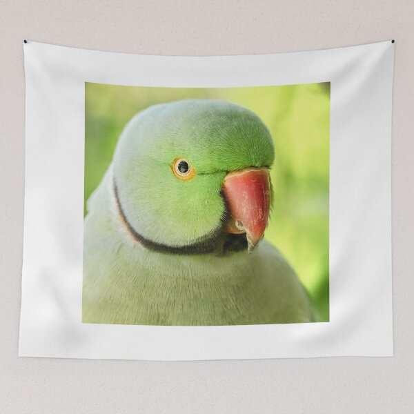 Item preview, Green Parrot - beautiful bird designed and sold by Sam-DesignMart.