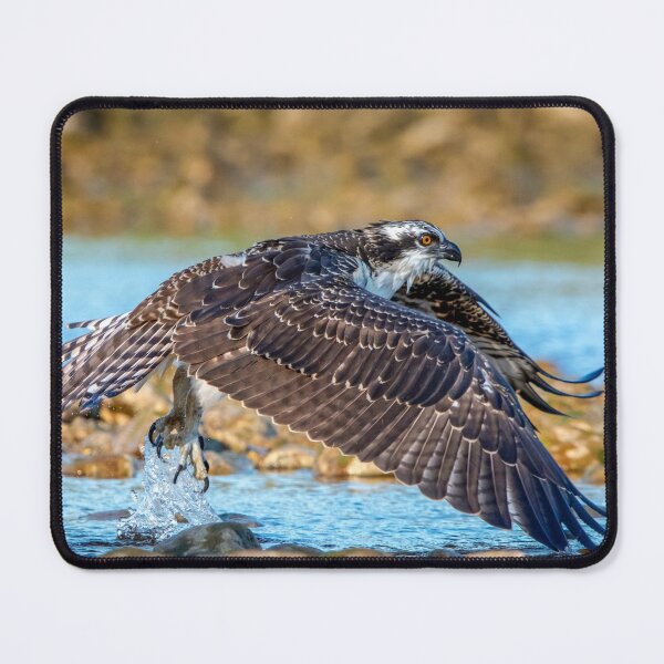 Item preview, The Mighty American Eagle - Bird King designed and sold by Sam-DesignMart.