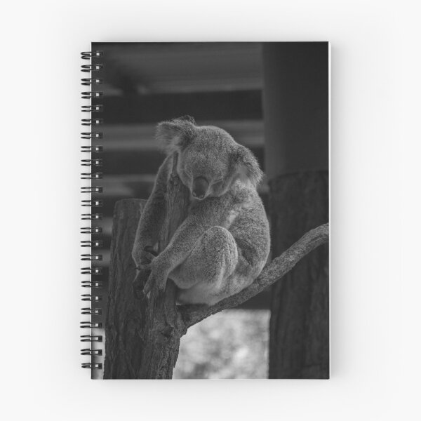 Item preview, Sleeping koala designed and sold by StaLiVa.