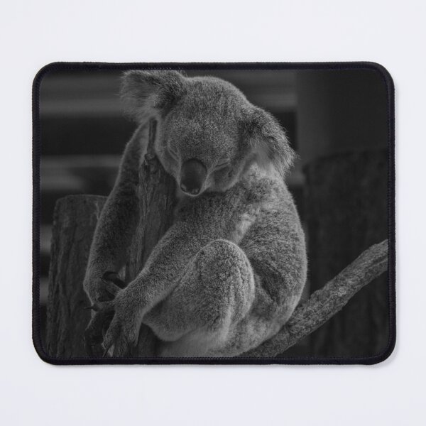 Item preview, Sleeping koala designed and sold by StaLiVa.