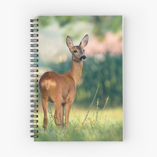 Item preview, Roe Deer designed and sold by Cute-Jory-Store.