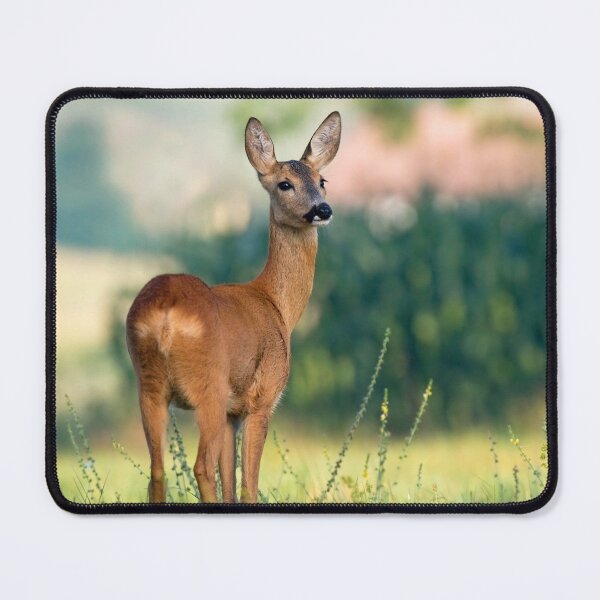 Item preview, Roe Deer designed and sold by Cute-Jory-Store.