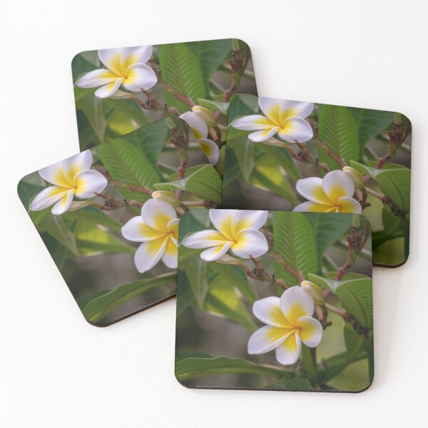 Item preview, frangipanis designed and sold by StaLiVa.