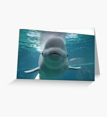 Juno Greeting Card