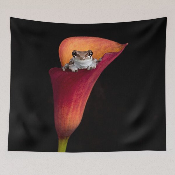 Item preview, Cute Frog designed and sold by FXST.