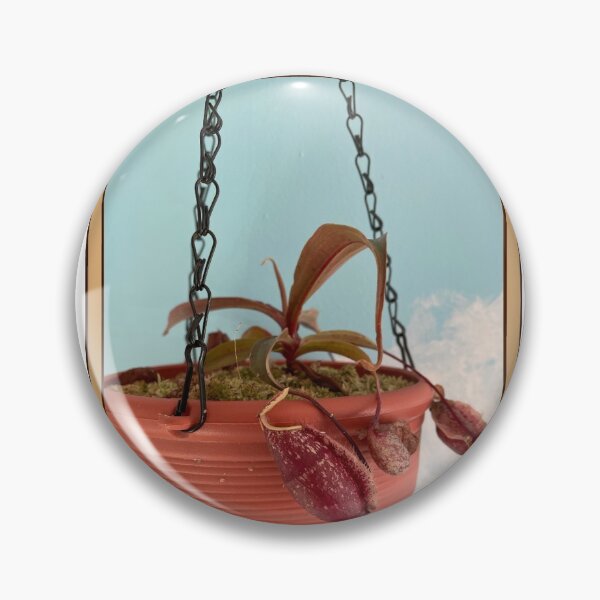 Item preview, Picture plant  designed and sold by Skippy269.