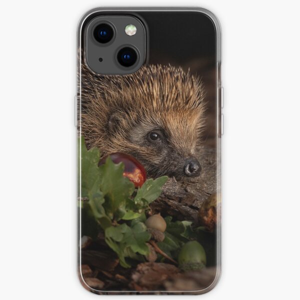 Autumn colours iPhone Soft Case