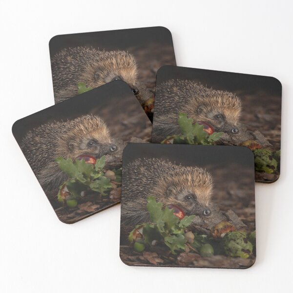 Item preview, Autumn colours designed and sold by Helen Walker.