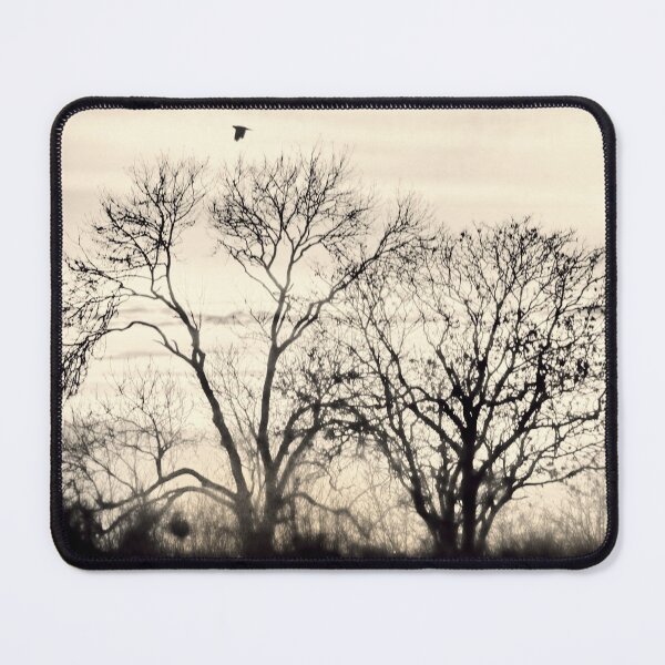 Item preview, #145 Tree Silhouette Art Print Taken From The Village of Kegworth designed and sold by phutball.