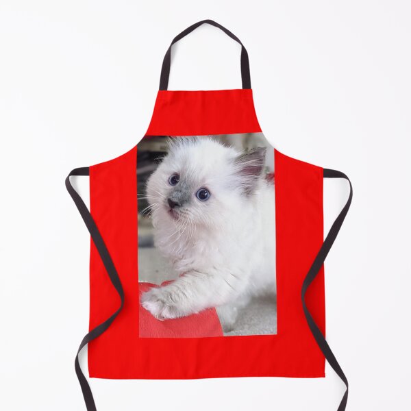 Item preview, Ragdoll kitten designed and sold by Fluffycat2020.