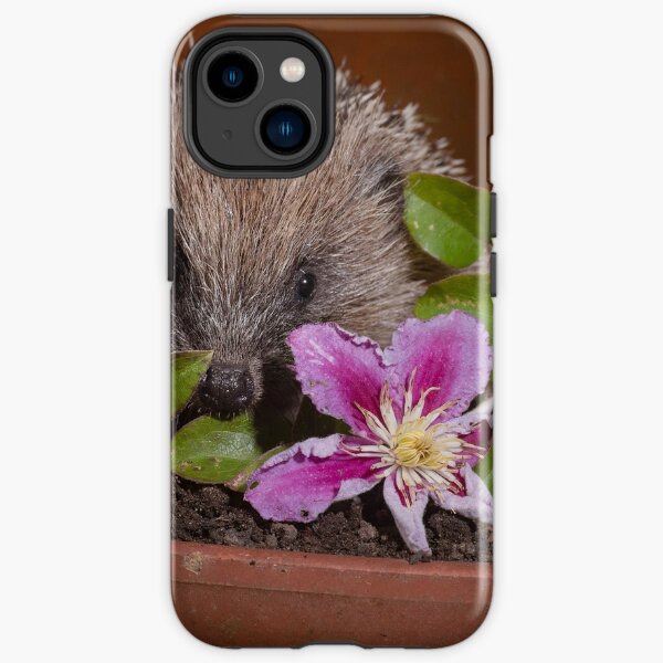 Young hedgehog with clematis flowers iPhone Tough Case