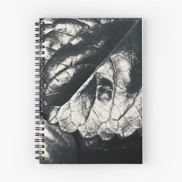 Item preview, Dollar Plant Leaf - Black and White designed and sold by AnaDAlmeida.