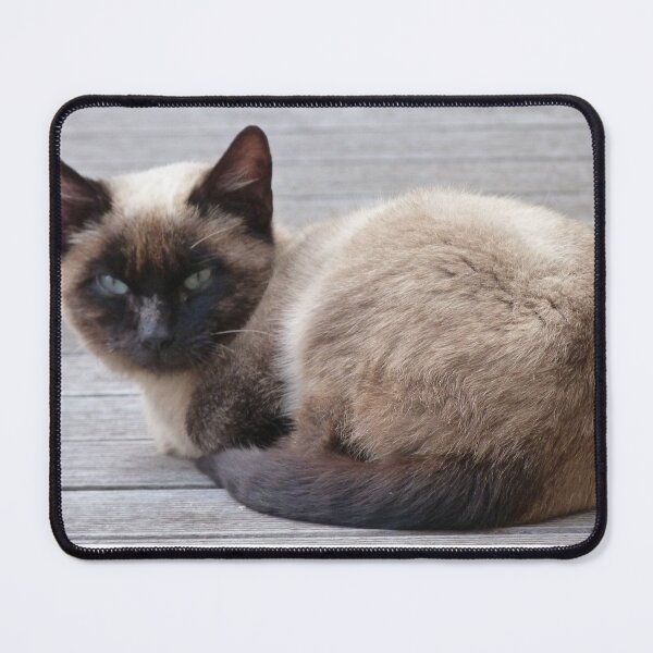 Item preview, cat designed and sold by angase.