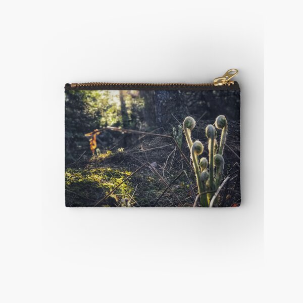 Item preview, Fiddleheads - New Brunswick - Forest - Sunset designed and sold by robbclarke.