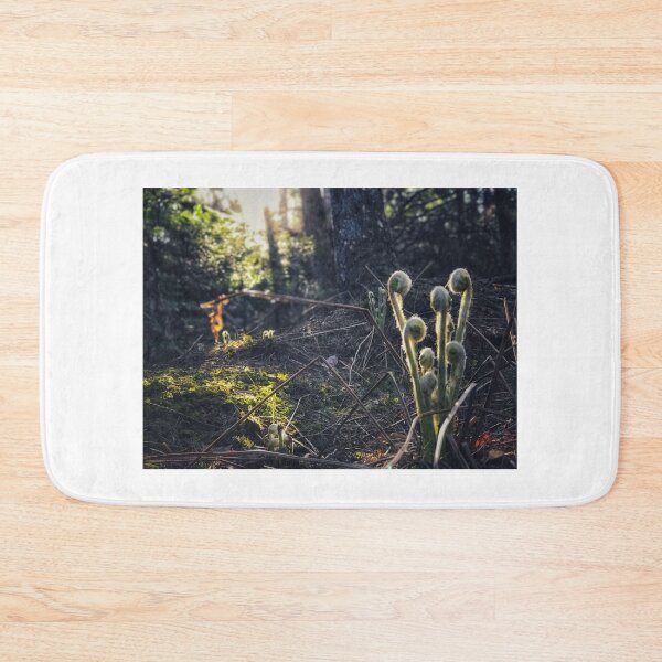 Item preview, Fiddleheads - New Brunswick - Forest - Sunset designed and sold by robbclarke.