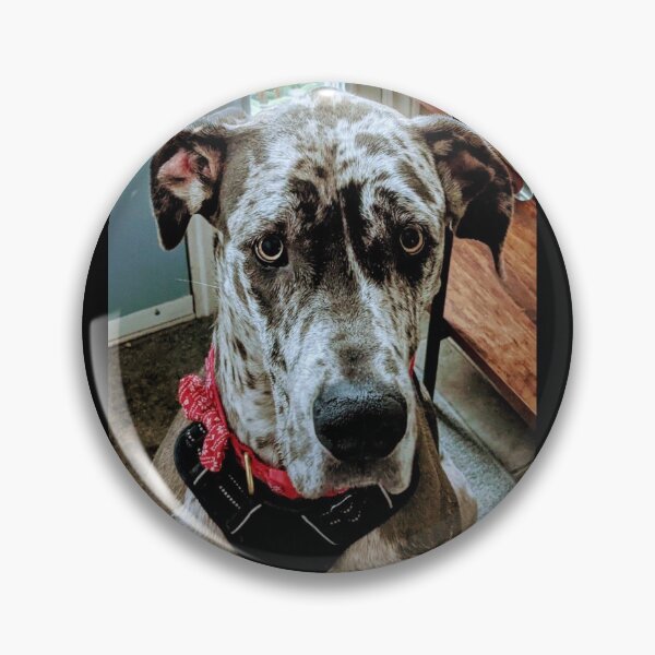 Item preview, Great Dane designed and sold by GuiseppeCrab.