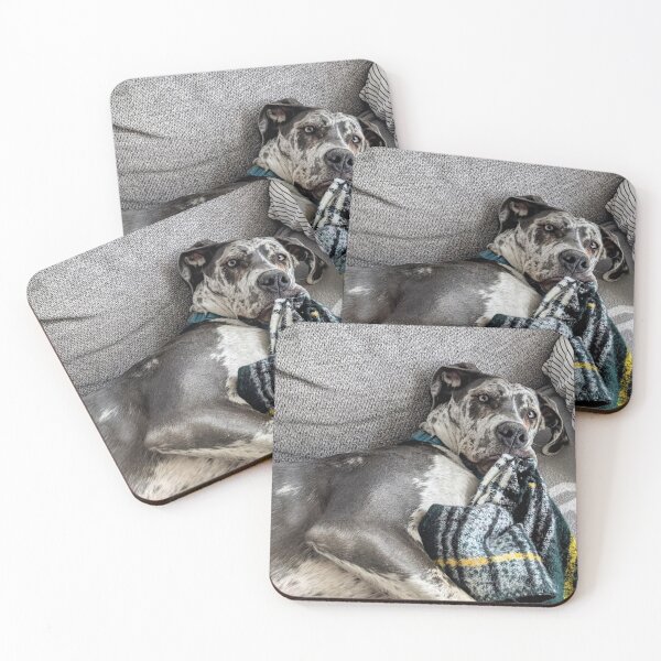 Item preview, Great Dane Puppy chewing on Blanket designed and sold by GuiseppeCrab.