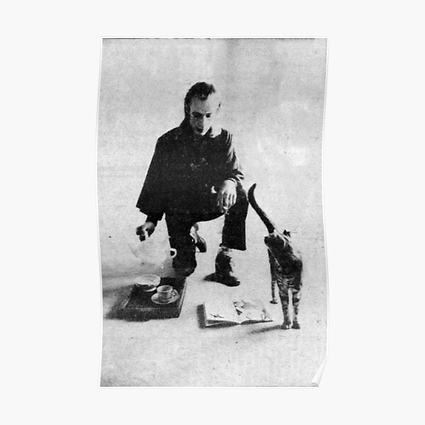 Brian Eno & Cat Poster