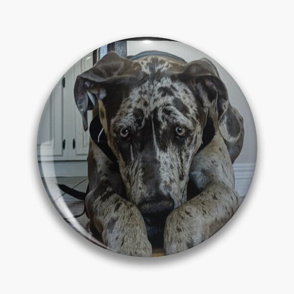 Item preview, Great Dane Puppy designed and sold by GuiseppeCrab.