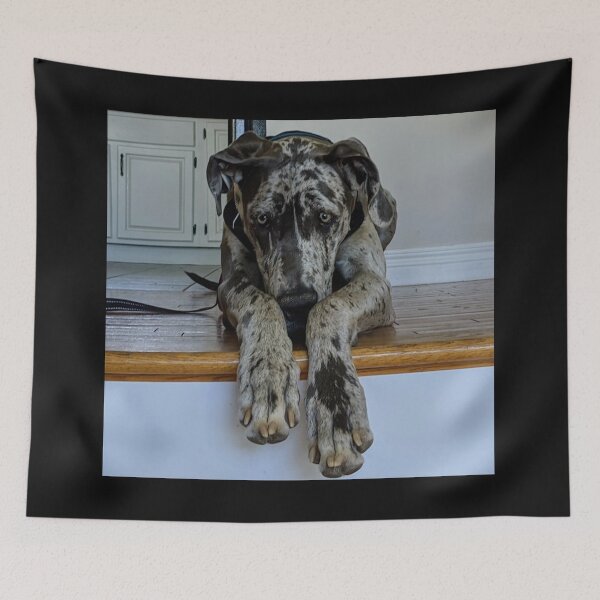 Item preview, Great Dane Puppy designed and sold by GuiseppeCrab.