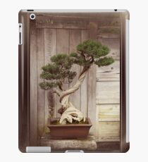 Bonzai Tree iPad Case/Skin