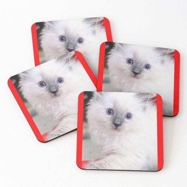 Item preview, Ragdoll kitten designed and sold by Fluffycat2020.