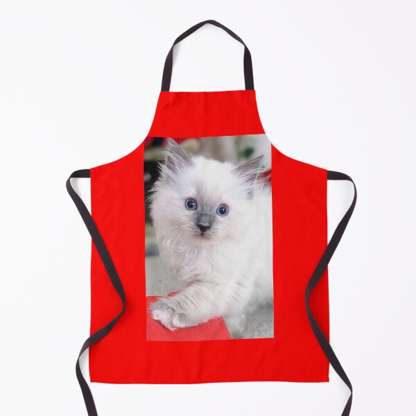 Item preview, Ragdoll kitten designed and sold by Fluffycat2020.