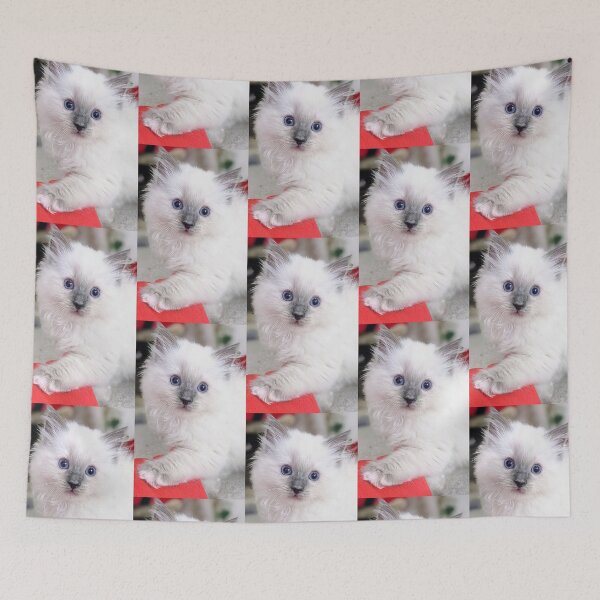 Item preview, Ragdoll kitten designed and sold by Fluffycat2020.