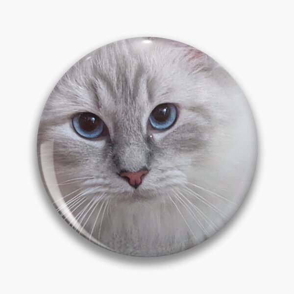 Item preview, Ragdoll kitten designed and sold by Fluffycat2020.